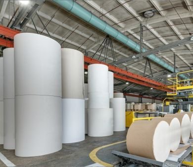 Pulp & Paper